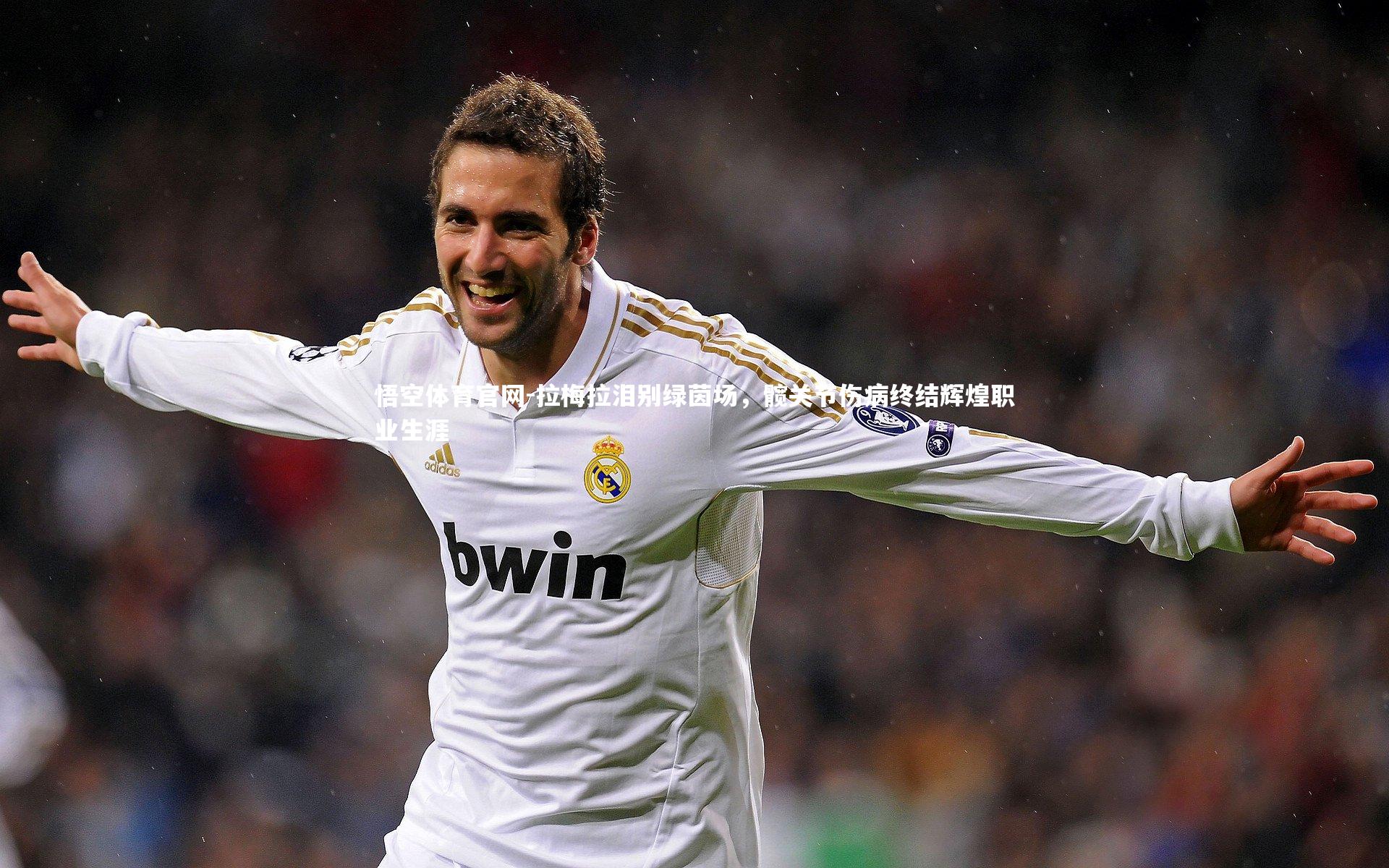 悟空体育官网-拉梅拉泪别绿茵场，髋关节伤病终结辉煌职业生涯